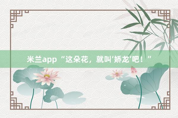 米兰app “这朵花，就叫‘娇龙’吧！”