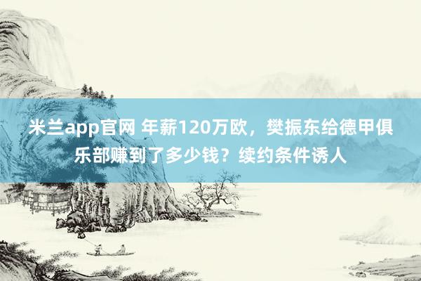 米兰app官网 年薪120万欧,樊振东给德甲俱乐部赚到了多少钱?续约条件诱人