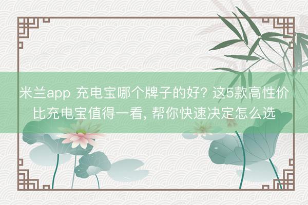 米兰app 充电宝哪个牌子的好? 这5款高性价比充电宝值得一看, 帮你快速决定怎么选