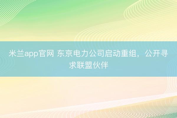 米兰app官网 东京电力公司启动重组,公开寻求联盟伙伴