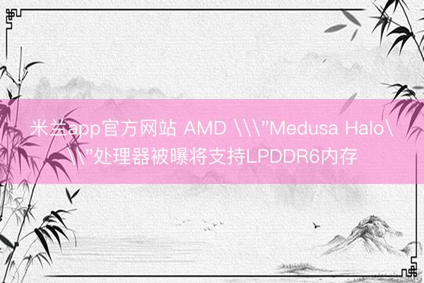 米兰app官方网站 AMD \
