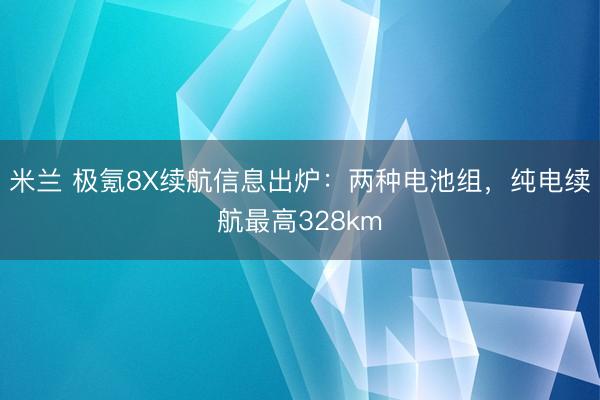 米兰 极氪8X续航信息出炉:两种电池组,纯电续航最高328km