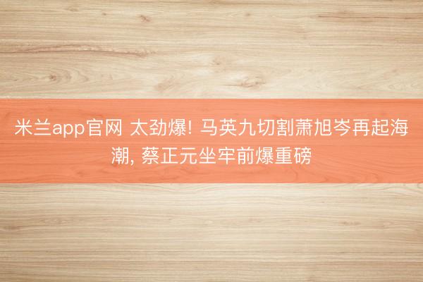 米兰app官网 太劲爆! 马英九切割萧旭岑再起海潮， 蔡正元坐牢前爆重磅