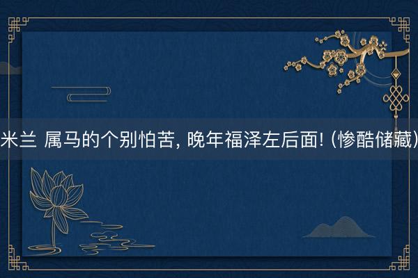 米兰 属马的个别怕苦， 晚年福泽左后面! (惨酷储藏)