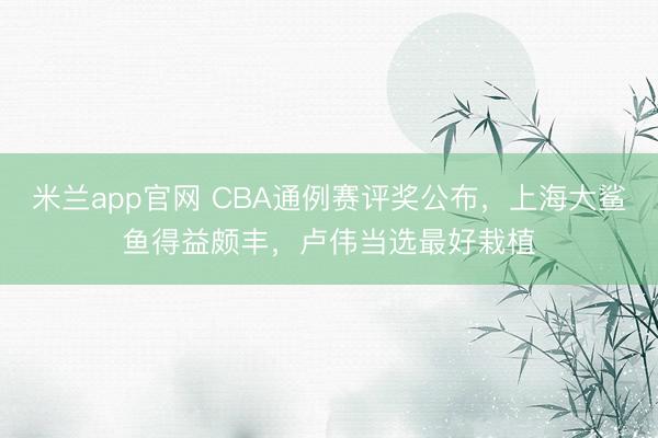 米兰app官网 CBA通例赛评奖公布，上海大鲨鱼得益颇丰，卢伟当选最好栽植