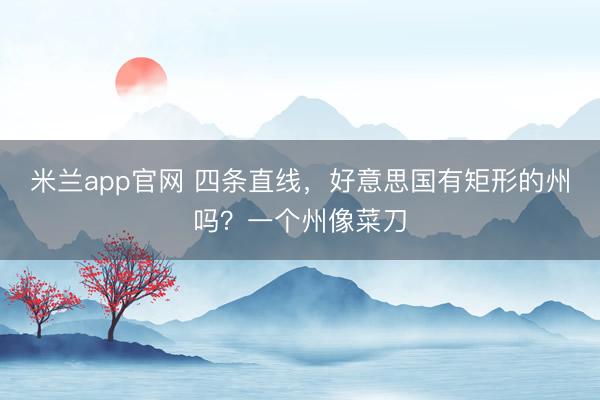 米兰app官网 四条直线，好意思国有矩形的州吗？一个州像菜刀