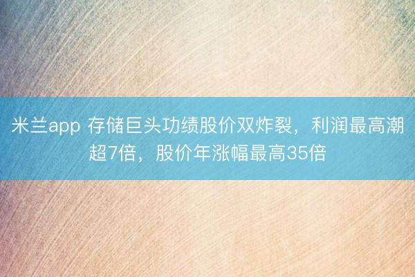 米兰app 存储巨头功绩股价双炸裂，利润最高潮超7倍，股价年涨幅最高35倍