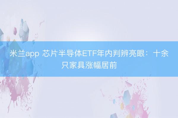 米兰app 芯片半导体ETF年内判辨亮眼：十余只家具涨幅居前